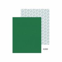 FSP-1000