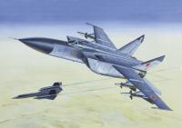 1/72 Истребитель-перехватчик МиГ-25П _72123_