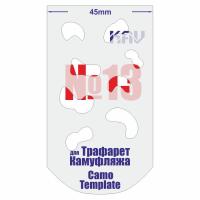 CT013