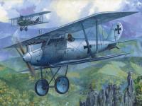 1/72 Самолет PFALZ DIII _Roden_ 003_