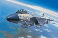 1/72 Самолет F-14A Tomcat _80276_