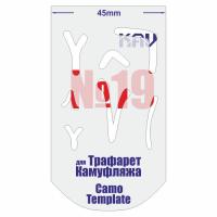 CT019