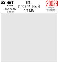 20029