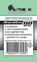 PPS-LS-010