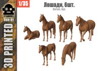 880-01_horses_01