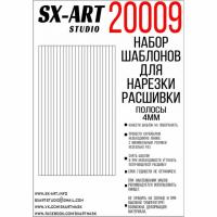 20009