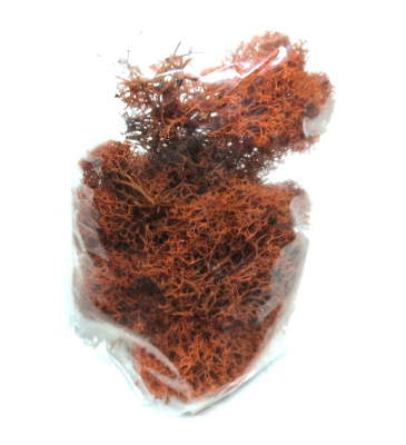 moss003