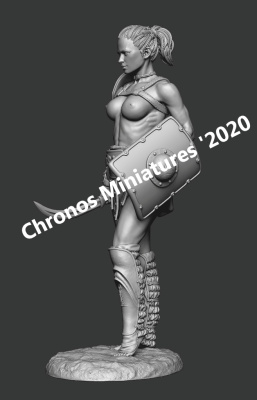 CHM54213_01