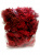 Мох макетный, красный, 50 грамм (ZIPmaket, 70106)