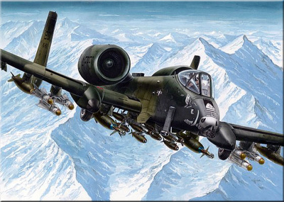 1/72 Штурмовик A-10А _Тандерболт_ II _207203_