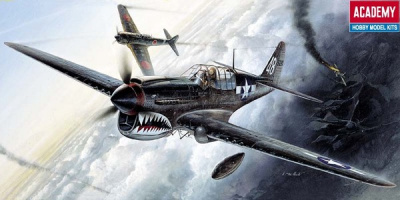 1/72 Самолет P-40M/N Warhawk _12465_
