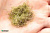002-ET-052