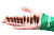 080-ptv-006