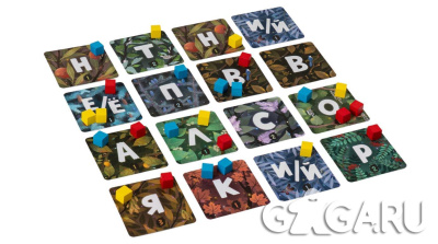 GG586_04