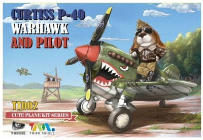 Cute Curtiss P-40 warhawk + pilot _TigerModel_ TT002_