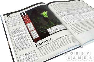 717064_04