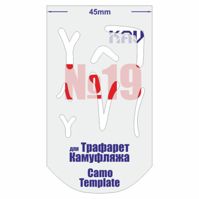 CT019