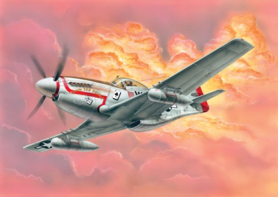 1/72 Истребитель P-51D _Мустанг_ _207208_