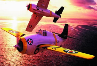 1/48 Самолёт  F4F-3 _Wildcat_ _Early_ _HobbyBoss_ 80326_