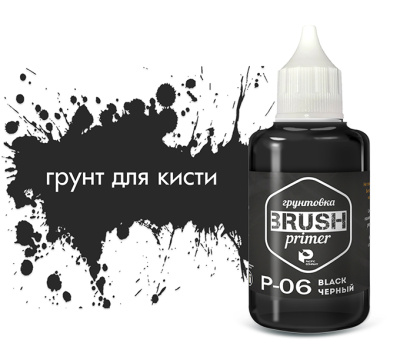 P06