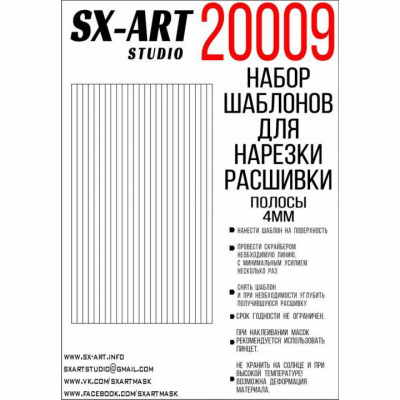 20009