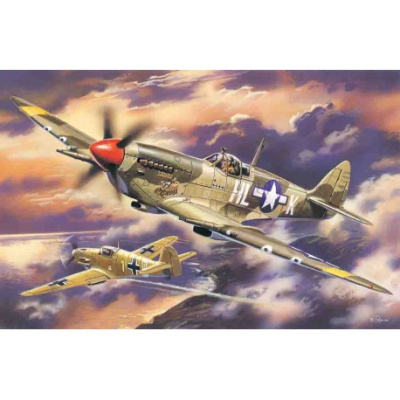 1/48 Самолет Spitfire Mk_ VIII _48065_