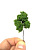 011-dam-003